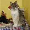 Отзыв от Галя Ткачева
